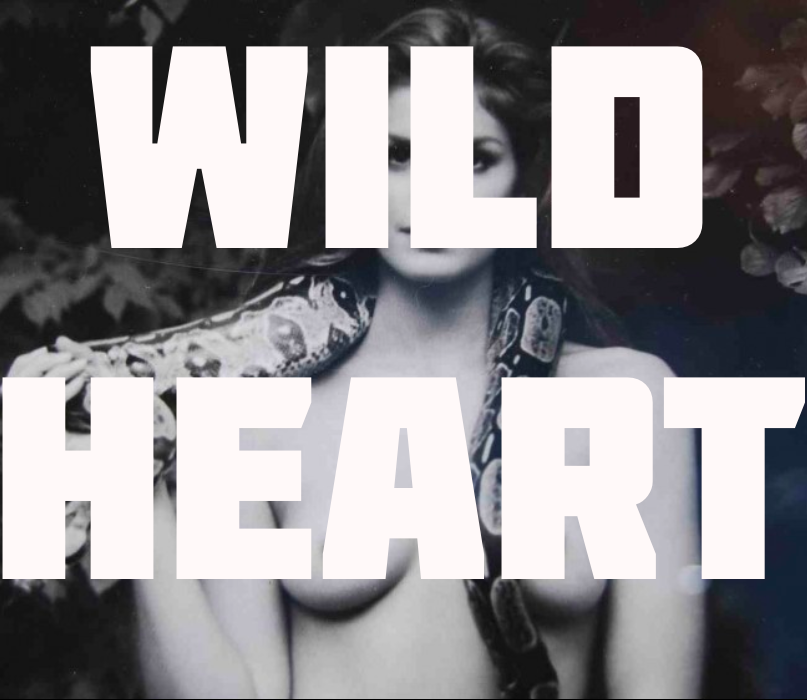 New: Wild Heart – The Heartbeat The Soul