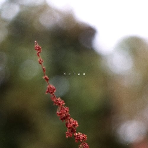 New: Eaves – Timber