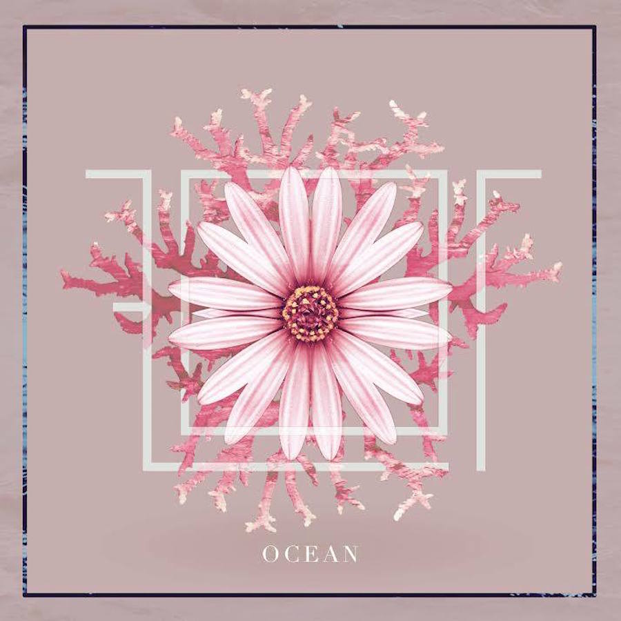 New: flor – ocean