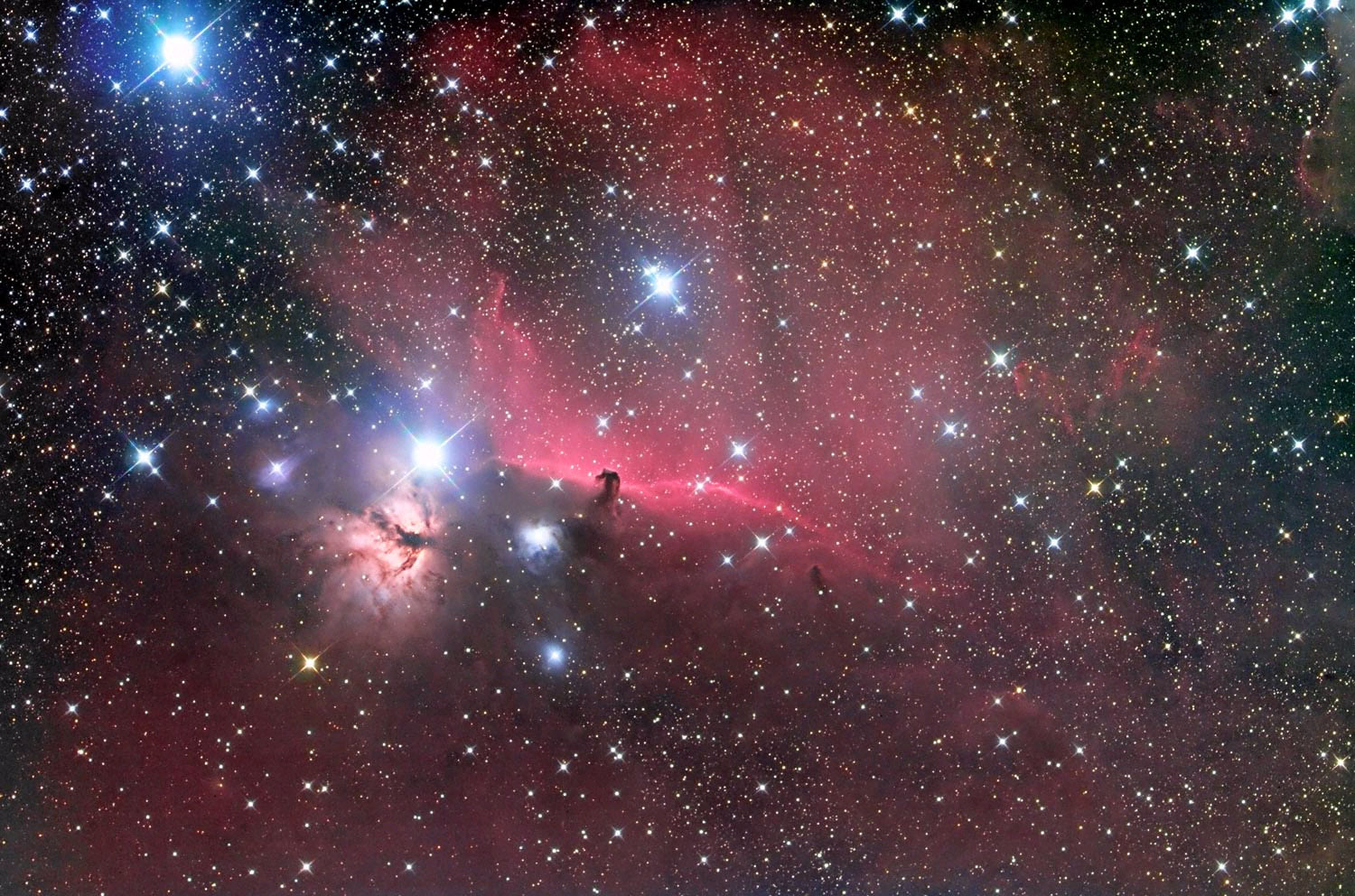 Betelgeuse (Or how I learnt to care about supernovas and love science)