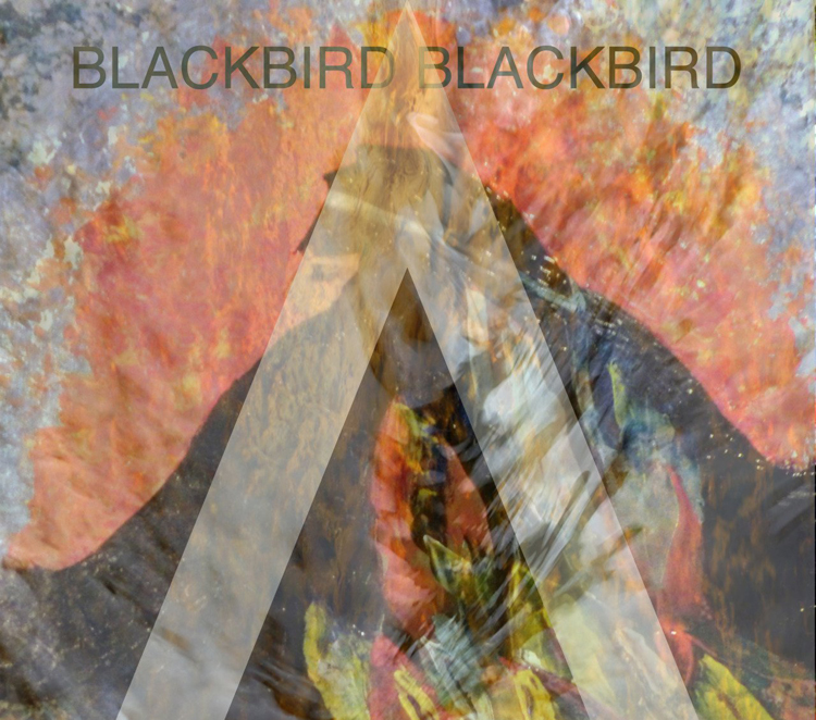 MPfree: Blackbird Blackbird – Overboard