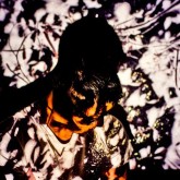 New: Blackbird Blackbird – Calypso