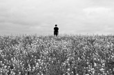 New: Escalier – Stillness