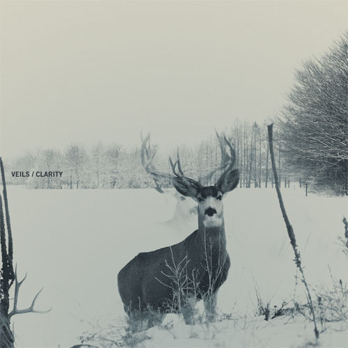 Review: Veils – Clarity