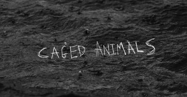 Video: Caged Animals – This Summer I’ll Make It Up To You