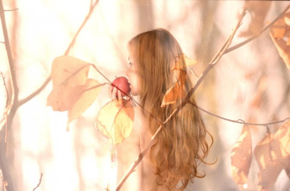 New: Love Echo – Daybreak