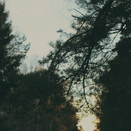 New: Alicks – Outside