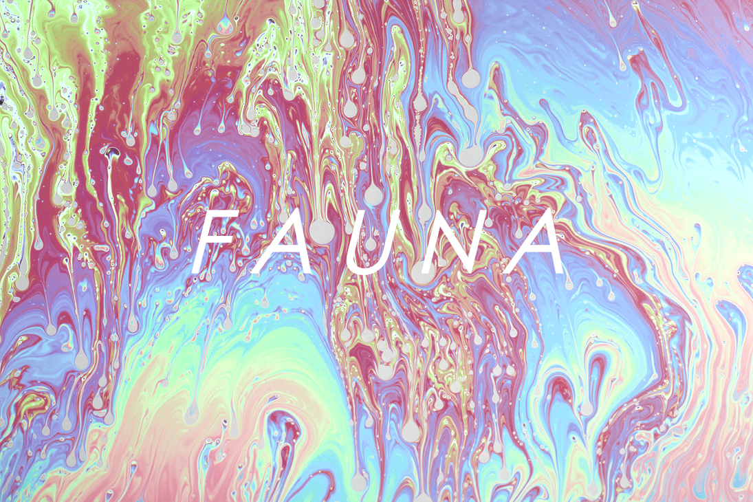 Introducing: Fauna