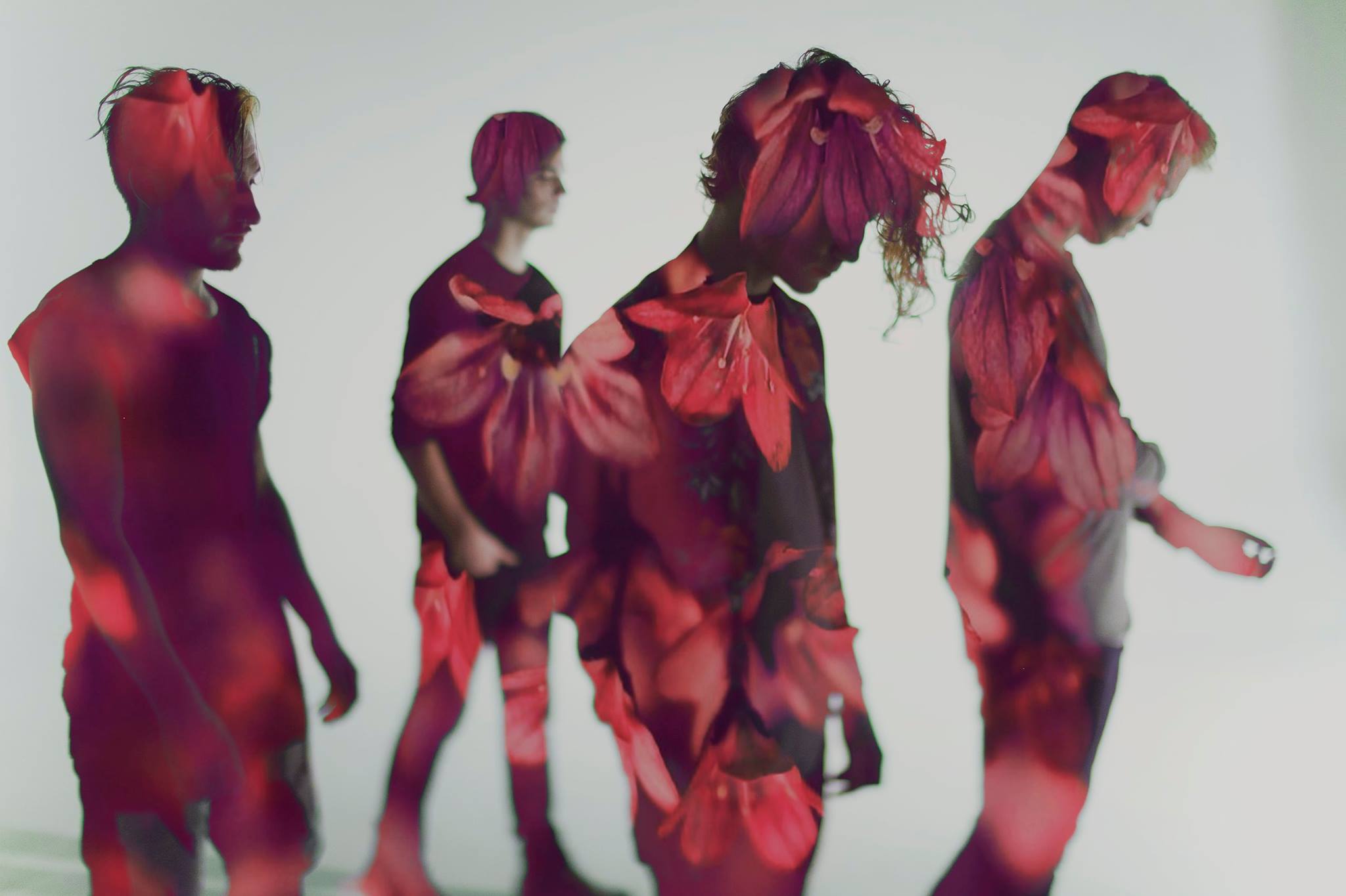 Video Premiere: flor – get behind this