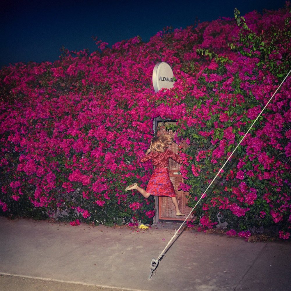 New: Feist – Pleasure