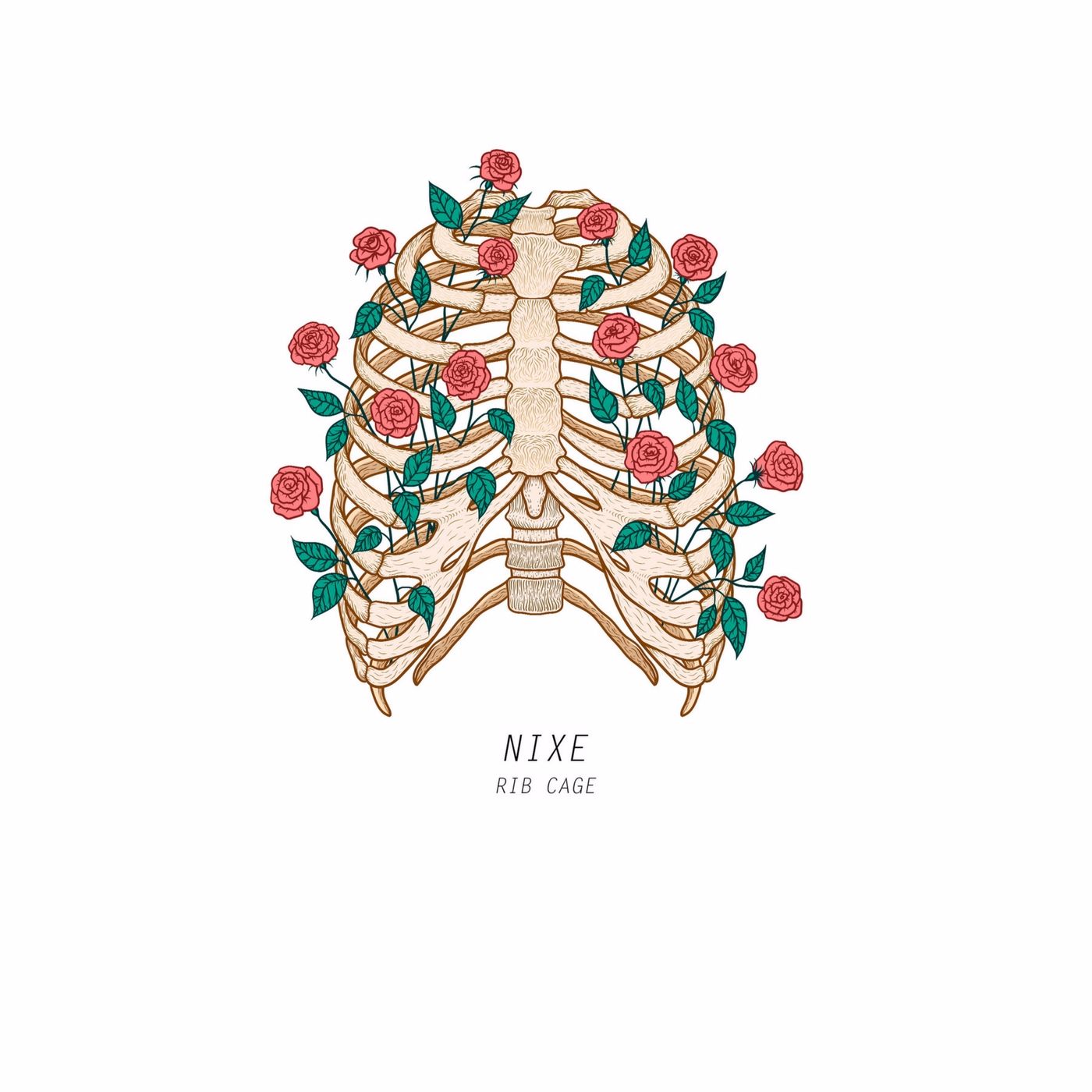 New: NIXE – Rib Cage