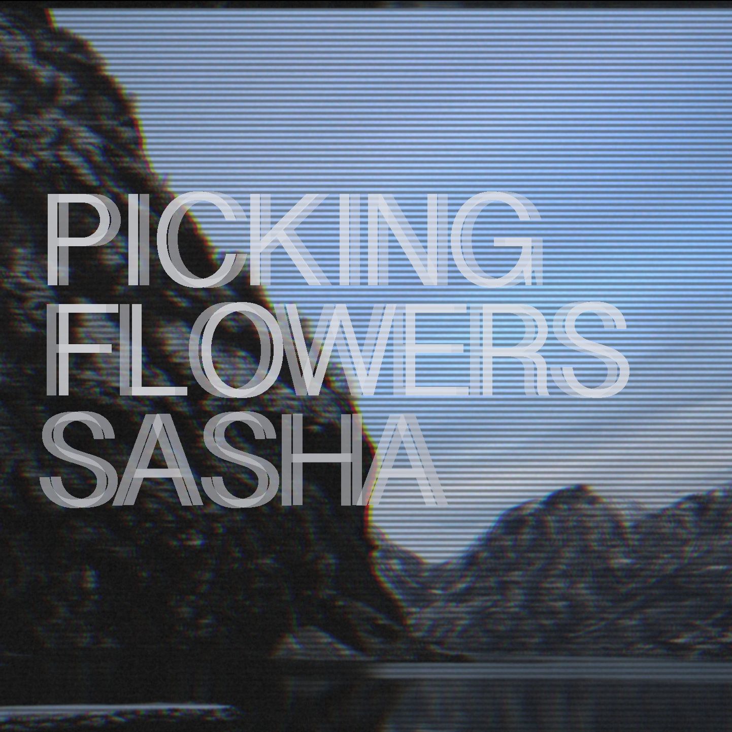 New: Sasha – Picking Flowers